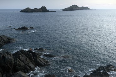 R&eacute;sum&eacute;